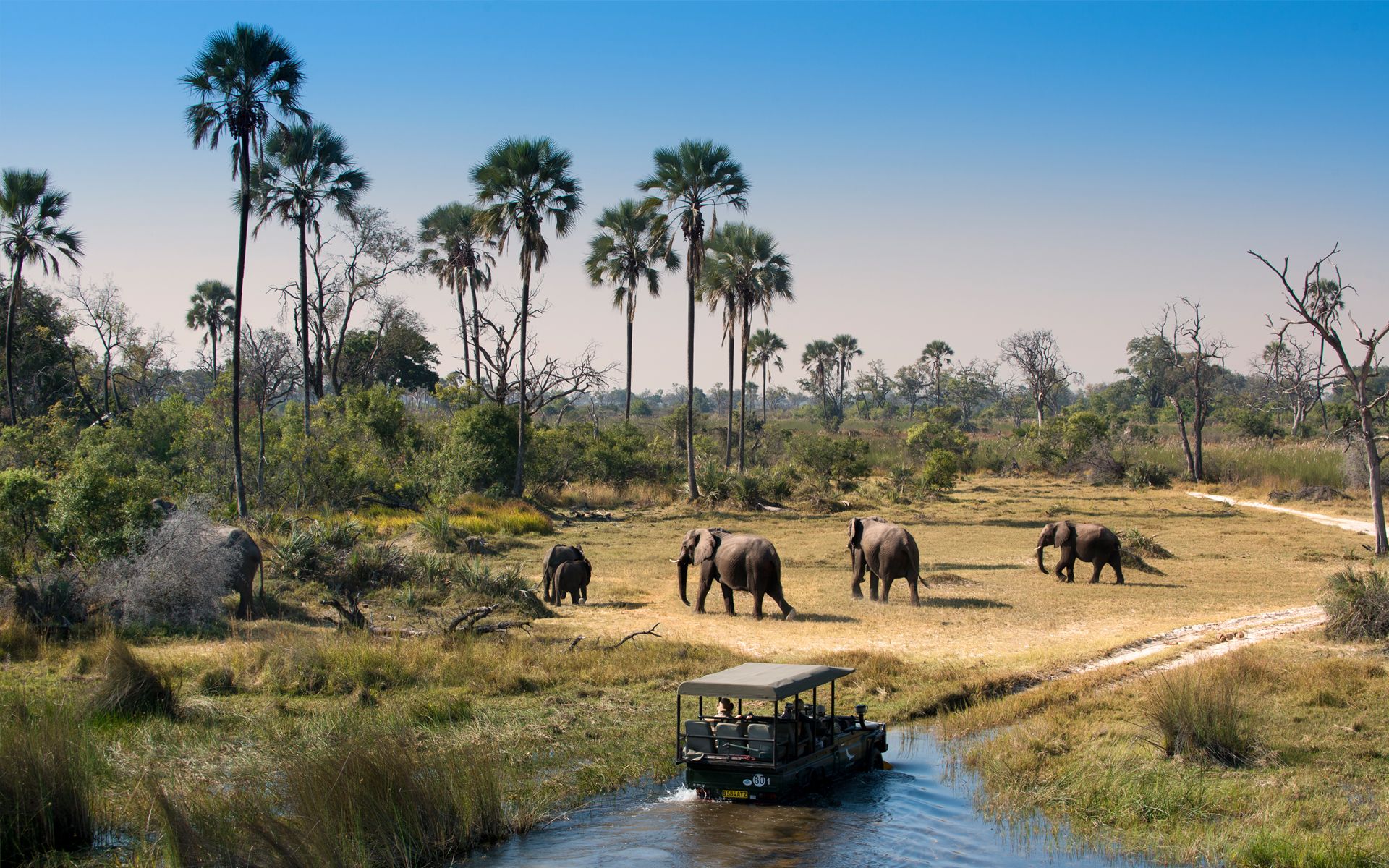 Botswana And Okavango Safaris Part Of Nature Herself